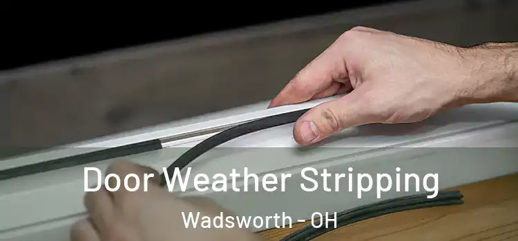 Door Weather Stripping Wadsworth - OH