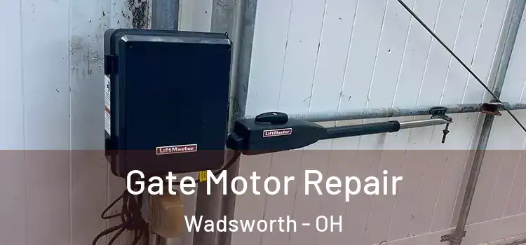 Gate Motor Repair Wadsworth - OH
