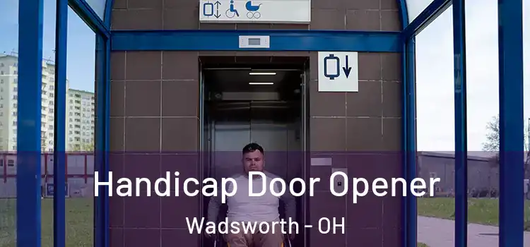 Handicap Door Opener Wadsworth - OH