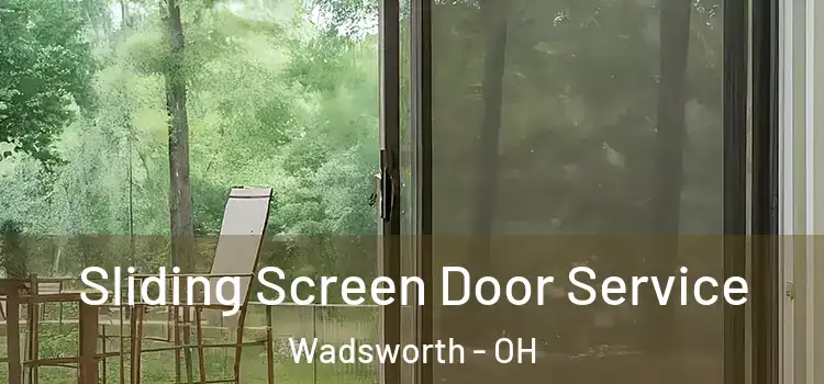 Sliding Screen Door Service Wadsworth - OH